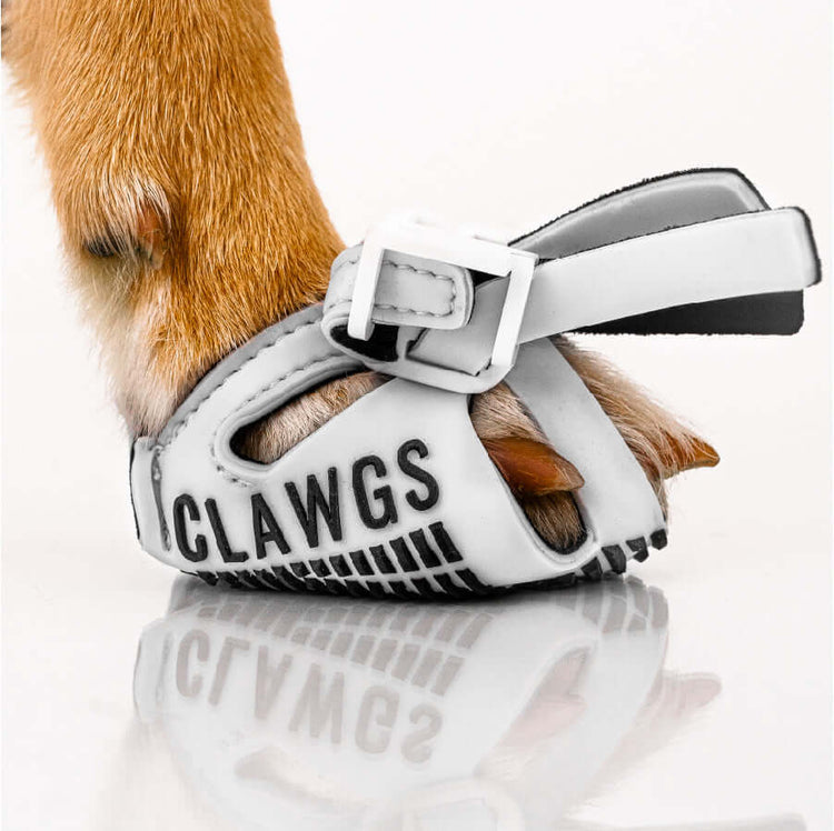 Side view of a white Clawg V2 on a paw 