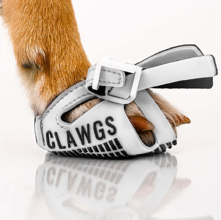 CLAWGS V2 33% Off Sale